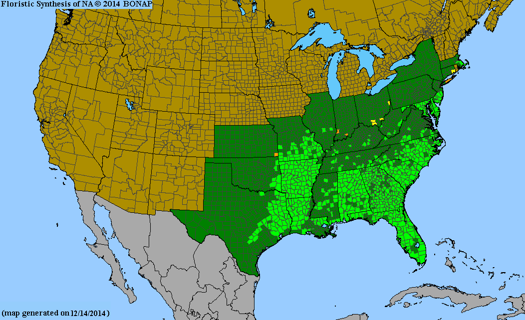 County distribution map of Pteridium aquilinum var. pseudocaudatum - Northern Bracken Fern